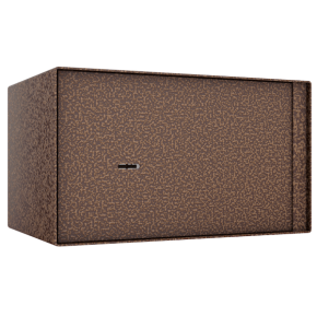 шкаф пистолетный шп-23 фото