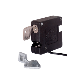 электромеханический замок фото